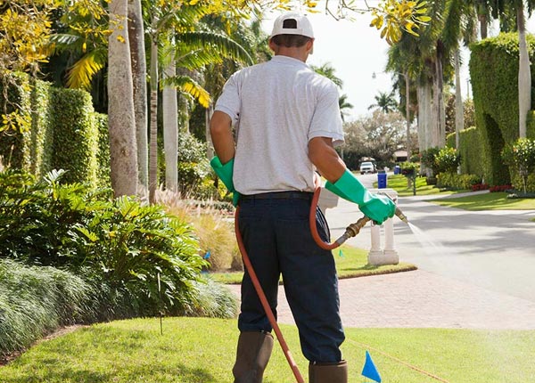 About Lakeville PA Pest Control